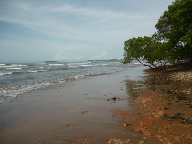 CHIRIQUI, SAN LORENZO, A LA VENTA FINCA FRENTE AL MAR