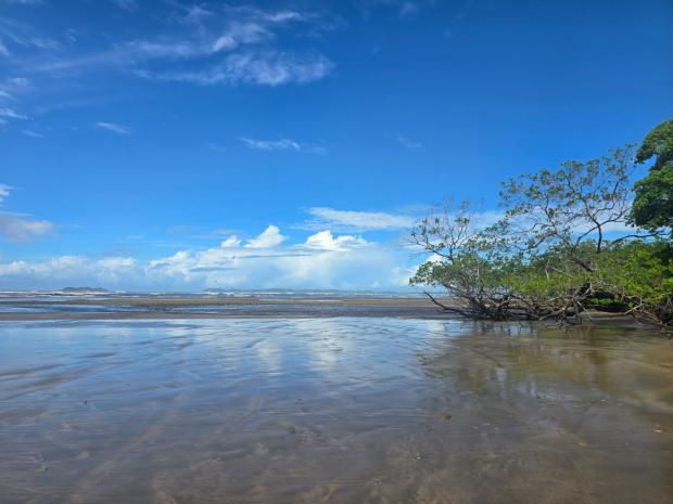 CHIRIQUI, SAN LORENZO, OCEANFRONT FARM FOR SALE