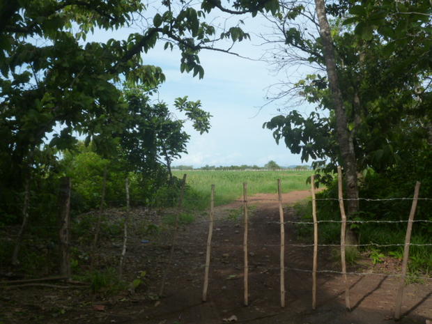 CHIRIQUI, SAN LORENZO, A LA VENTA FINCA FRENTE AL MAR