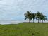 CHIRIQUI, SAN LORENZO, OCEANFRONT FARM FOR SALE