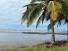 CHIRIQUI, SAN LORENZO, OCEANFRONT FARM FOR SALE