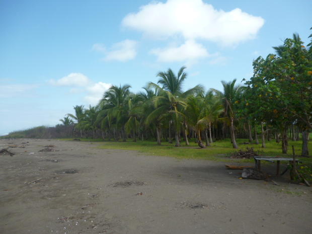 CHIRIQUI, REMEDIOS, OCEANFRONT FARM FOR SALE