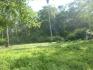 CHIRIQUI, REMEDIOS, OCEANFRONT FARM FOR SALE