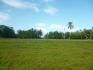 CHIRIQUI, REMEDIOS, OCEANFRONT FARM FOR SALE