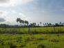 CHIRIQUI, REMEDIOS, OCEANFRONT FARM FOR SALE