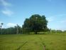 CHIRIQUI, REMEDIOS, OCEANFRONT FARM FOR SALE
