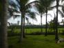 CHIRIQUI, REMEDIOS, OCEANFRONT FARM FOR SALE