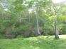 CHIRIQUI, REMEDIOS, OCEANFRONT FARM FOR SALE
