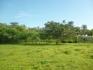 CHIRIQUI, REMEDIOS, OCEANFRONT FARM FOR SALE