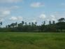 CHIRIQUI, REMEDIOS, OCEANFRONT FARM FOR SALE