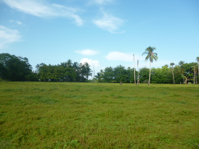 CHIRIQUI, REMEDIOS, OCEANFRONT FARM FOR SALE