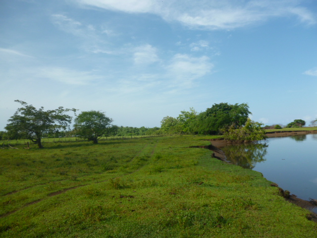 CHIRIQUI, REMEDIOS, OCEANFRONT FARM FOR SALE