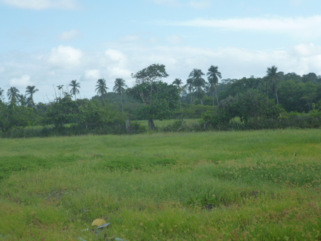CHIRIQUI, REMEDIOS, OCEANFRONT FARM FOR SALE