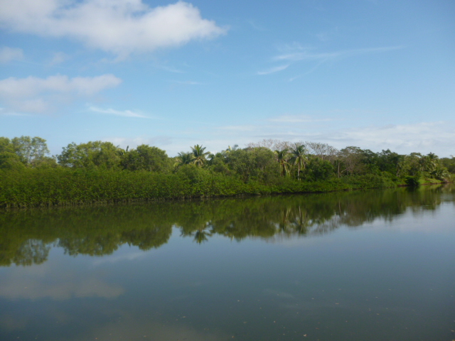 CHIRIQUI, REMEDIOS, OCEANFRONT FARM FOR SALE