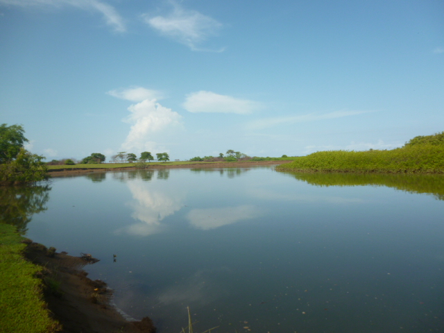 CHIRIQUI, REMEDIOS, OCEANFRONT FARM FOR SALE