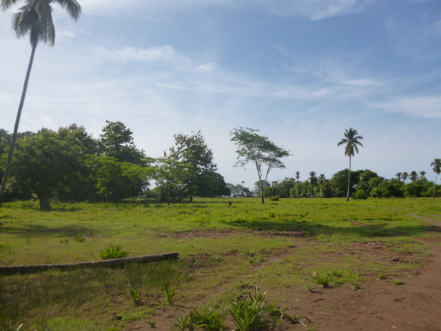 CHIRIQUI, REMEDIOS, OCEANFRONT FARM FOR SALE