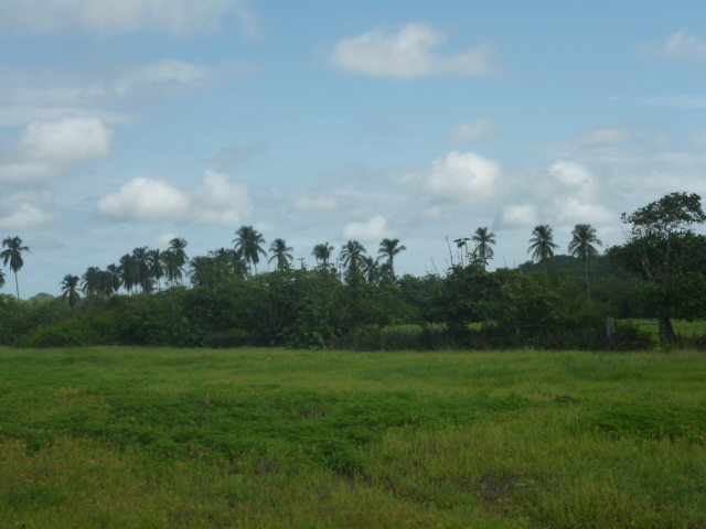 CHIRIQUI, REMEDIOS, OCEANFRONT FARM FOR SALE