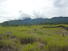 CHIRIQUI, BUGABA, 8 HECTARES PROPERTY IN VOLCAN