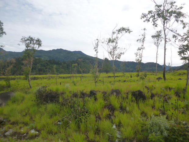 CHIRIQUI, BUGABA, LAND FOR SALE IN VOLCAN