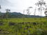 CHIRIQUI, BUGABA, LAND FOR SALE IN VOLCAN