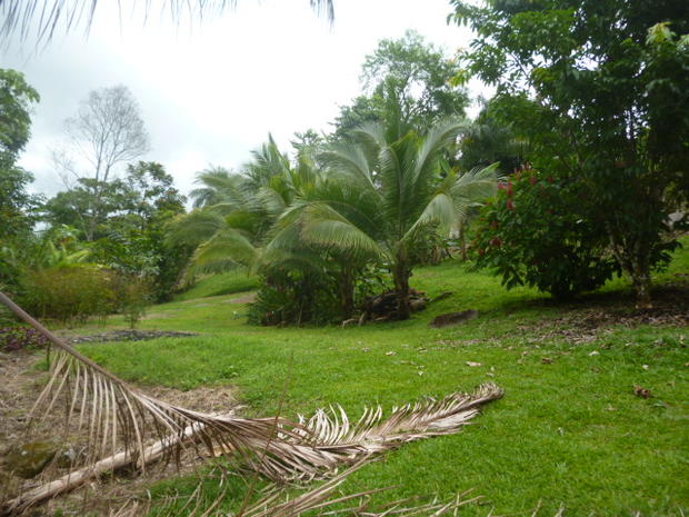 CHIRIQUI, BUGABA, RIVERFRONT AND OCEAN VIEW PROPERTY 