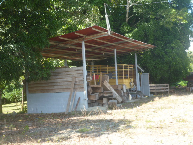 CHIRIQUI, BARU, PALM OIL FARM IN SAN BARTOLO.