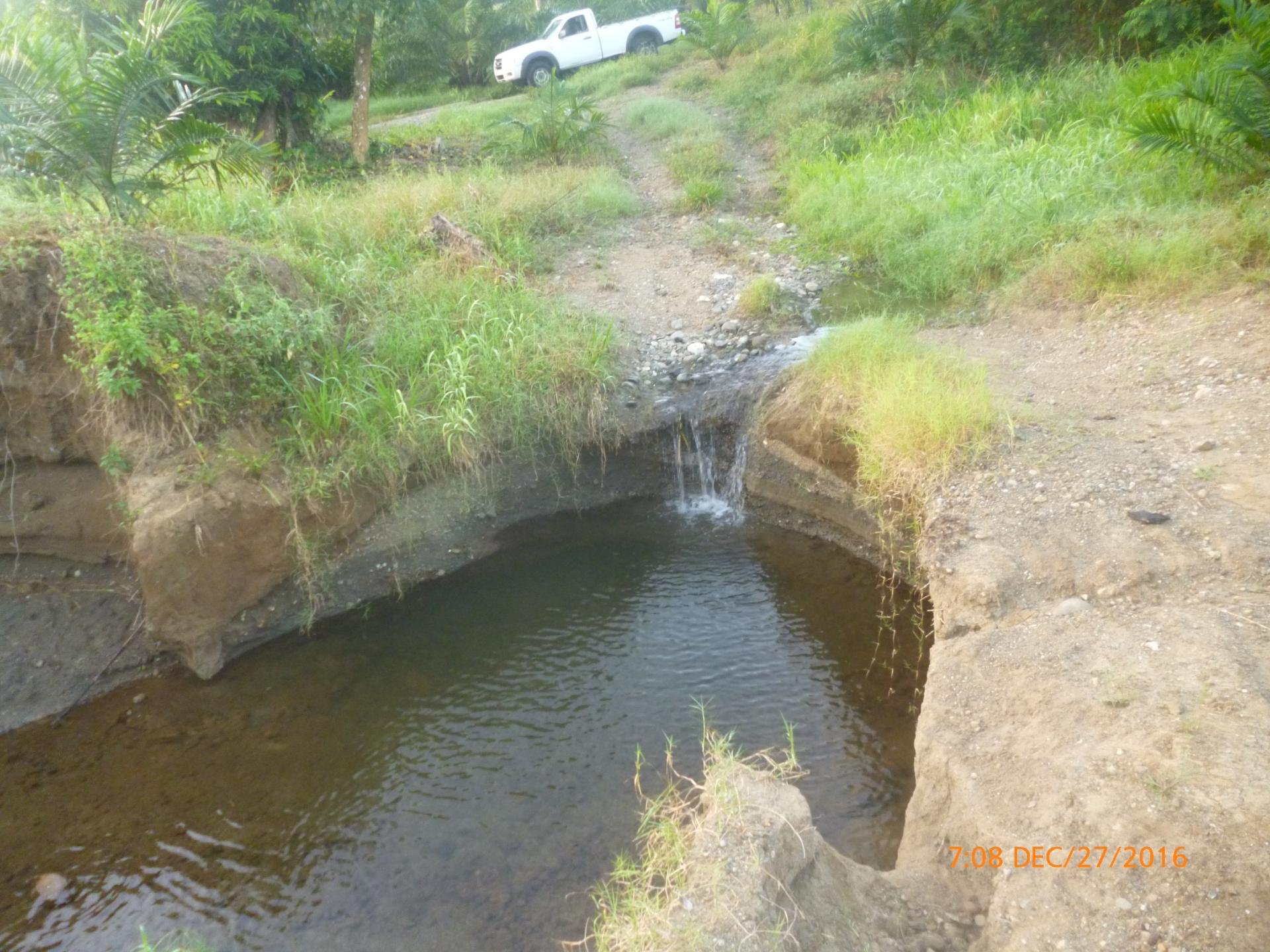 CHIRIQUI, BARU, PALM OIL FARM IN SAN BARTOLO.