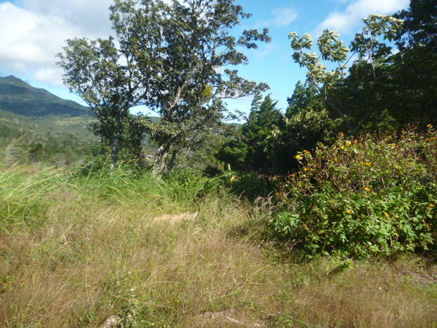 CHIRIQUI, ALTO BOQUETE, LOTE COMERCIAL