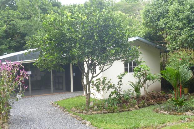 COCLE, EL VALLE DE ANTON, TURN KEY BUSINESS AVAILABLE