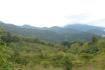 CHIRIQUI, BOQUETE, PROPERTY NEAR THE VOLCAN BARU NATIONAL PARK