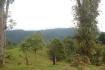 CHIRIQUI, BOQUETE, PROPERTY NEAR THE VOLCAN BARU NATIONAL PARK