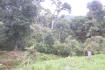 CHIRIQUI, BOQUETE, PROPERTY NEAR THE VOLCAN BARU NATIONAL PARK