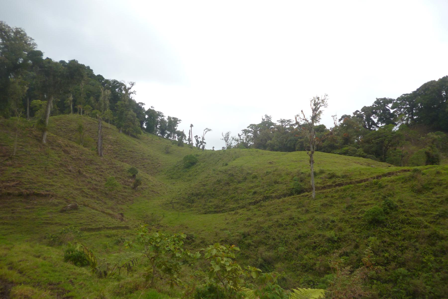 CHIRIQUI, BOQUETE, PROPERTY NEAR THE VOLCAN BARU NATIONAL PARK