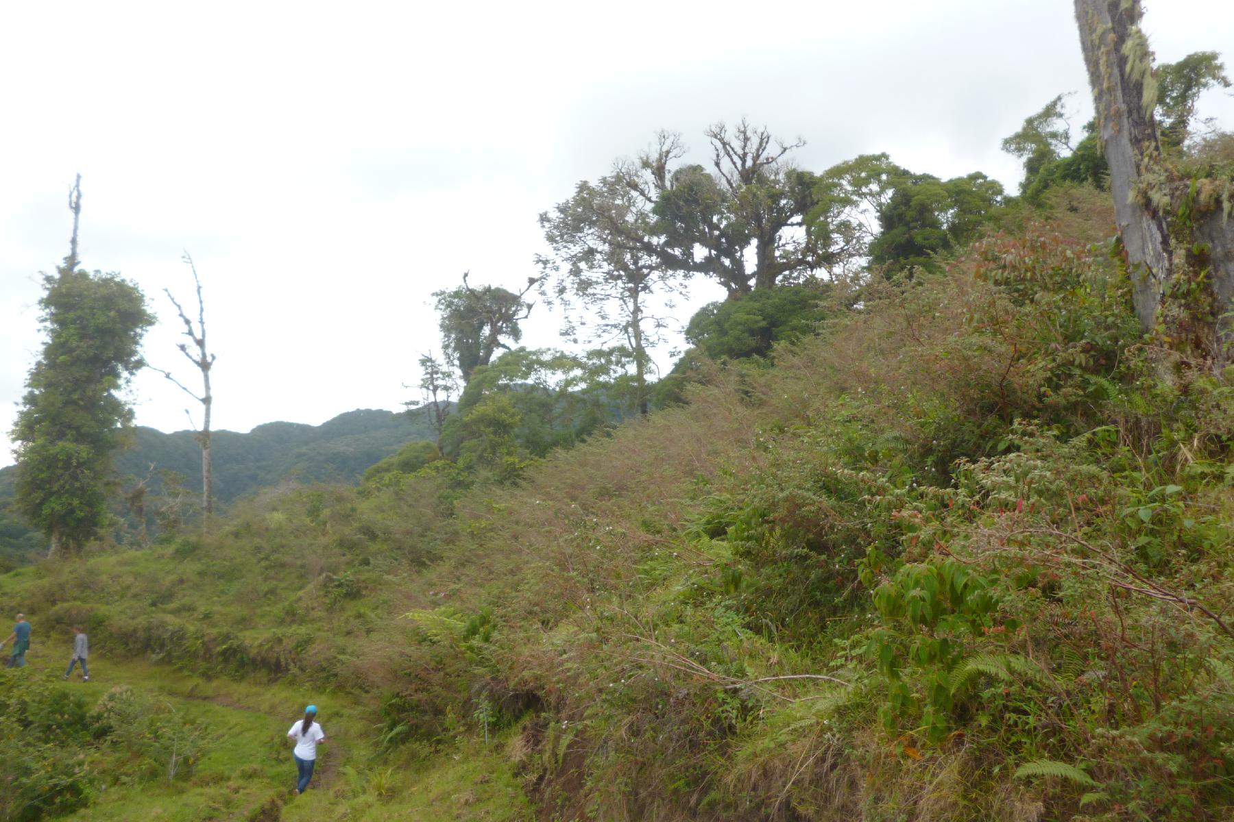 CHIRIQUI, BOQUETE, PROPERTY NEAR THE VOLCAN BARU NATIONAL PARK