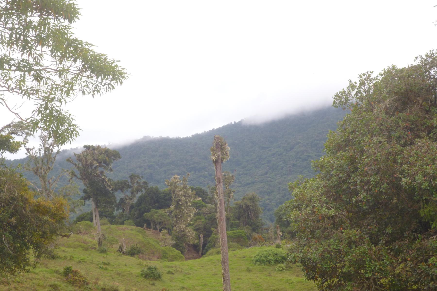 CHIRIQUI, BOQUETE, PROPERTY NEAR THE VOLCAN BARU NATIONAL PARK