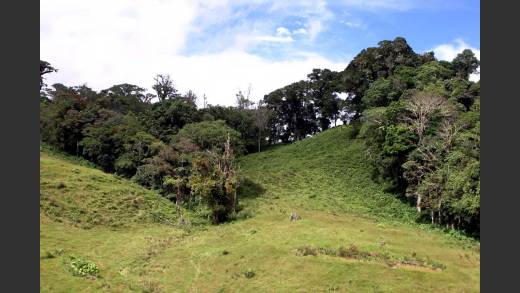 CHIRIQUI, BOQUETE, PROPERTY NEAR THE VOLCAN BARU NATIONAL PARK