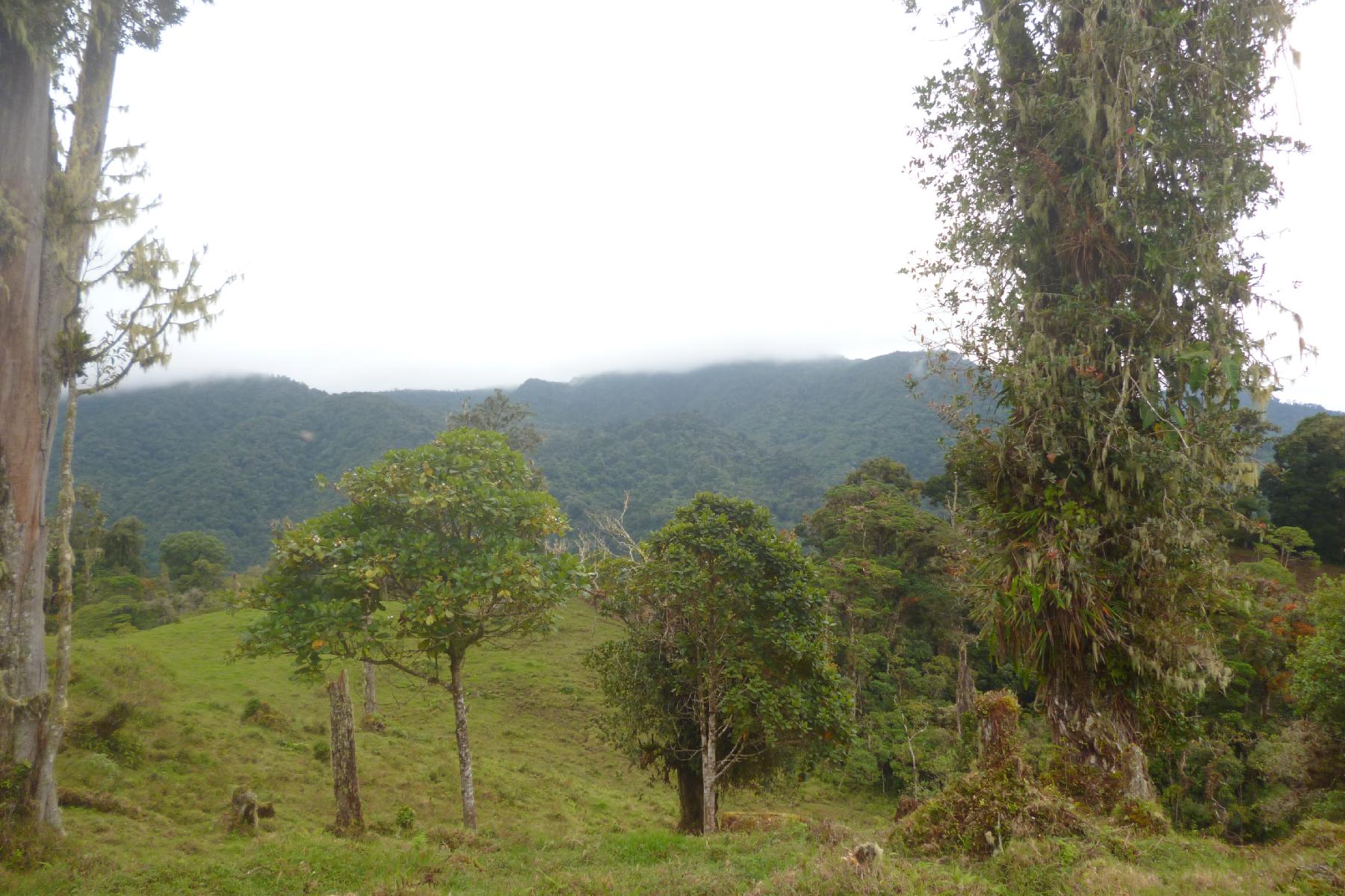 CHIRIQUI, BOQUETE, PROPERTY NEAR THE VOLCAN BARU NATIONAL PARK