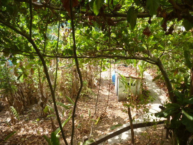 CHIRIQUI, LAS LAJAS, ECOLOGICAL HOSTEL ON THE BEACH.