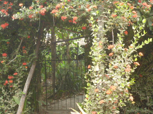 CHIRIQUI, LAS LAJAS, ECOLOGICAL HOSTEL ON THE BEACH.