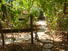 CHIRIQUI, LAS LAJAS, ECOLOGICAL HOSTEL ON THE BEACH.