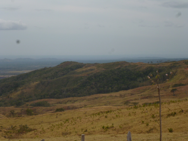 CHIRIQUI, BOQUETE, JARAMILLO ABAJO, FARM.