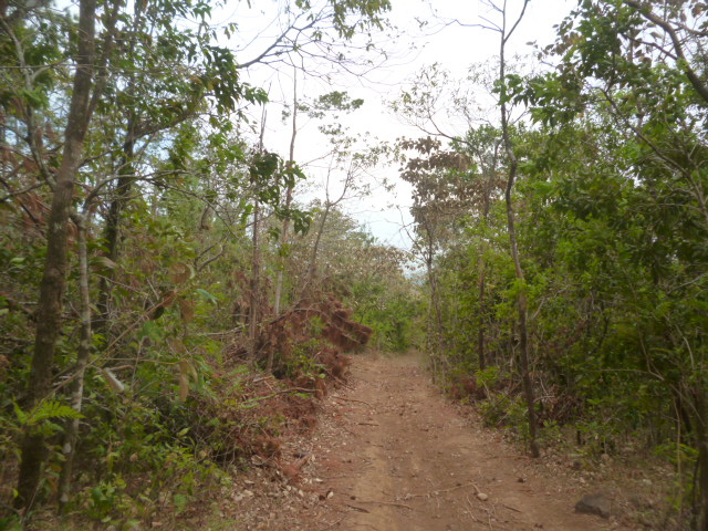 CHIRIQUI, BOQUETE, JARAMILLO ABAJO, FARM.