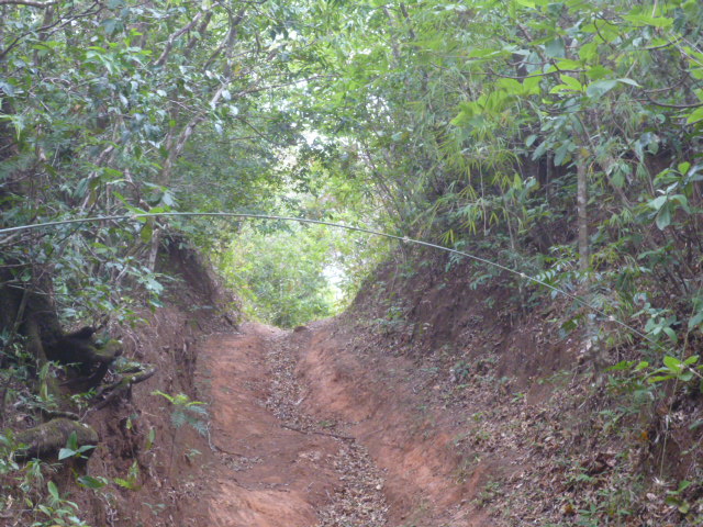 CHIRIQUI, BOQUETE, JARAMILLO ABAJO, FARM.