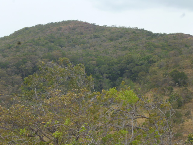 CHIRIQUI, BOQUETE, JARAMILLO ABAJO, FARM.