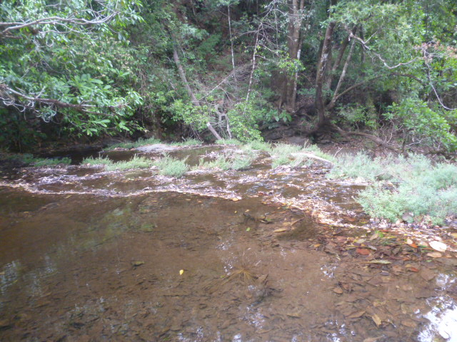 CHIRIQUI, BOQUETE, JARAMILLO ABAJO, FARM.