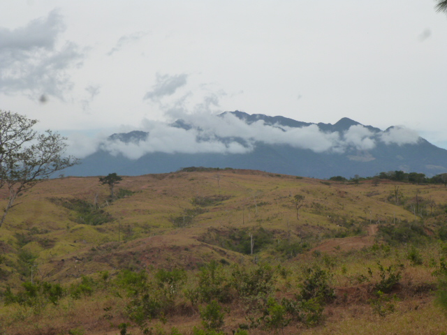 CHIRIQUI, BOQUETE, JARAMILLO ABAJO, FARM.