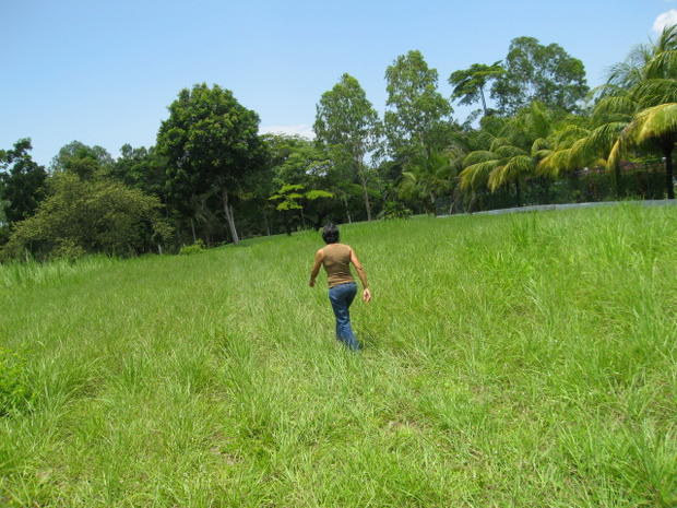 PANAMÁ OESTE, CORONADO, LOTE EN CORONADO GOLF COMUNIDAD PRIVADA