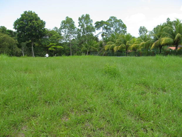 PANAMÁ OESTE, CORONADO, LOTE EN CORONADO GOLF COMUNIDAD PRIVADA