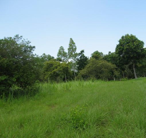 PANAMÁ OESTE, CORONADO, LOTE EN CORONADO GOLF COMUNIDAD PRIVADA