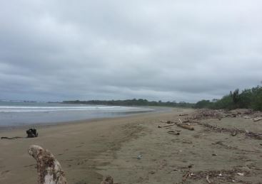 LOS SANTOS, PEDASI, LA ESTANCIA, PROPIEDAD CON FRENTE DE PLAYA.